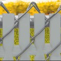 PDS 7' Chain Link Fence Top Locking Privacy Slats (Gray, 2 Inch)