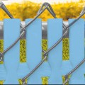 PDS 4' Chain Link Fence Top Locking Privacy Slats (Light Blue, 2 Inch)