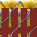 PDS 12' Chain Link Fence Top Locking Privacy Slats (Redwood, 2 Inch)