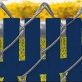 PDS 7' Chain Link Fence Top Locking Privacy Slats (Royal Blue, 2 Inch)