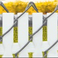 PDS 12' Chain Link Fence Top Locking Privacy Slats (White, 2 Inch)