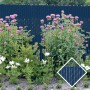 PDS 10' Chain Link Fence Feather Lock Privacy Slats (Royal Blue, 2 Inch)
