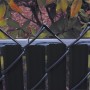 PDS 7' Chain Link Fence FinLink Privacy Slats (Black, 2 Inch)
